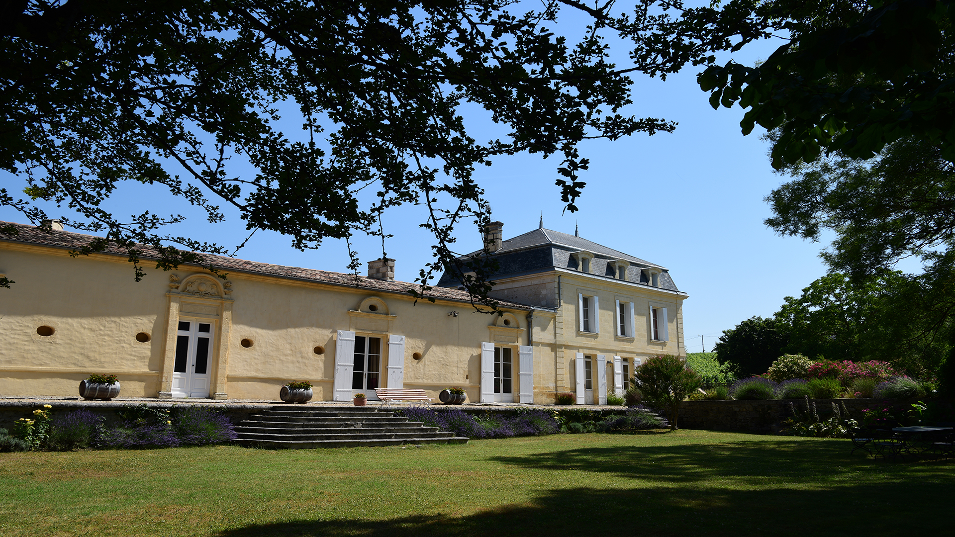 Château Richelieu – vignoble de Fronsac