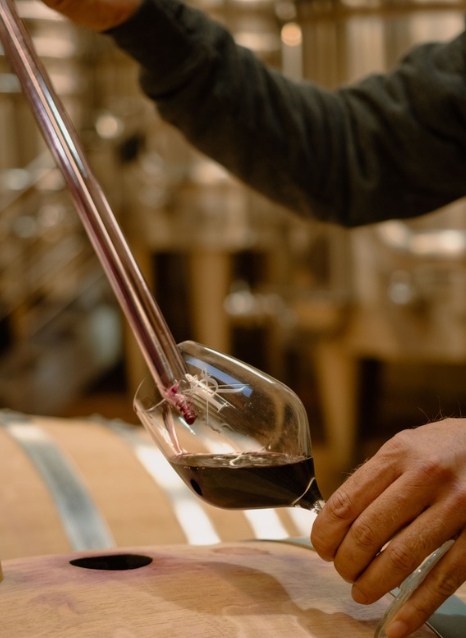 Vinification 1