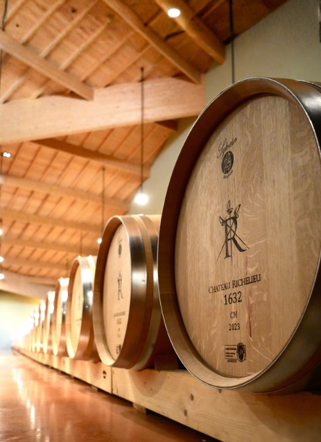 Vinification 2