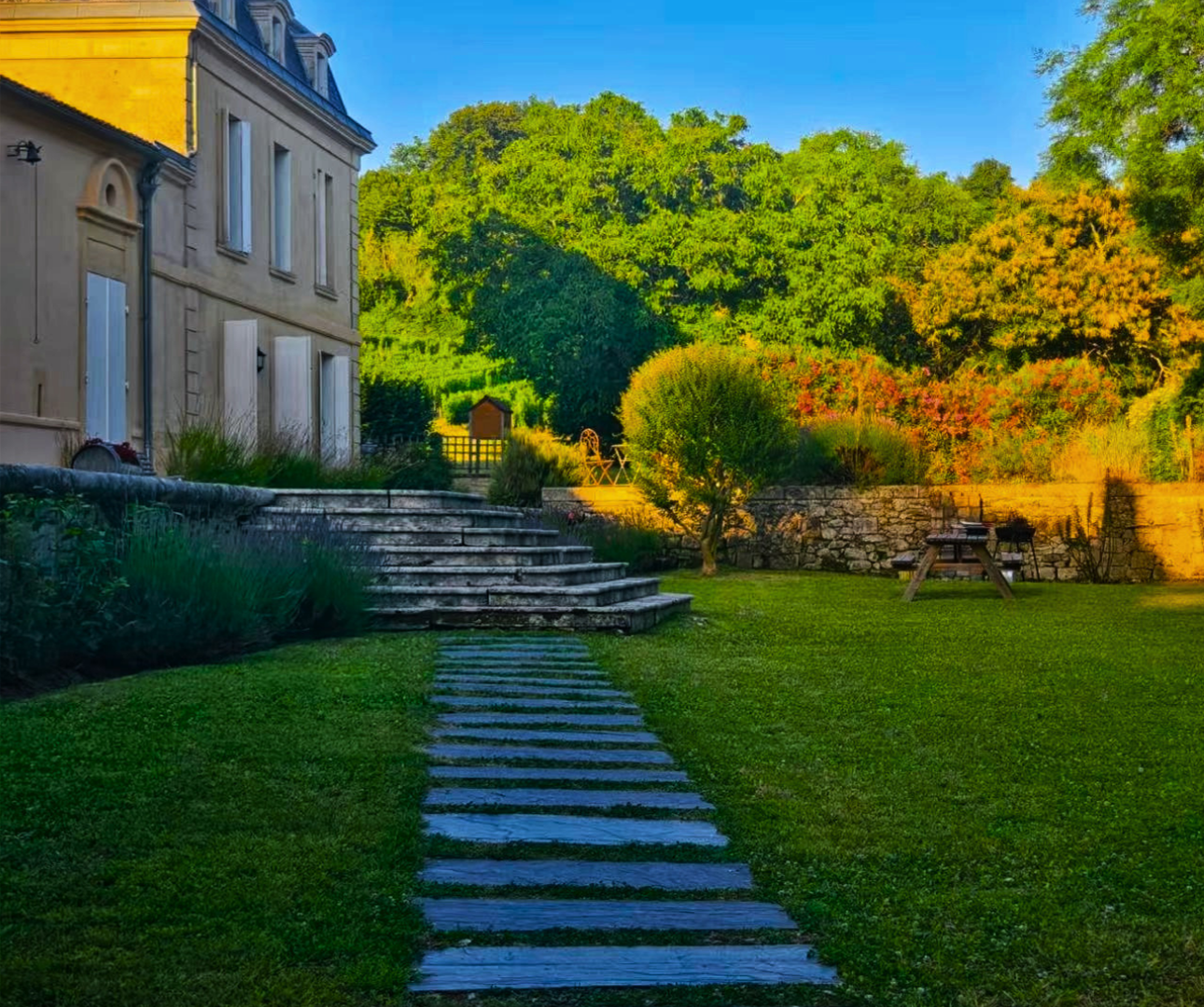 Château Richelieu – Vignoble